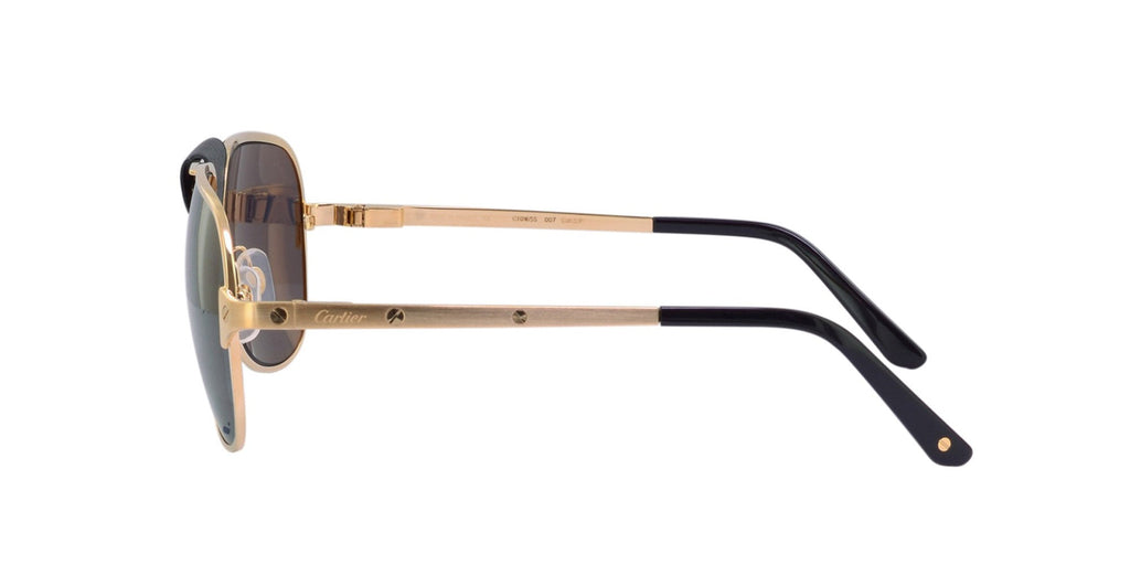 Cartier Santos de Cartier CT0165S