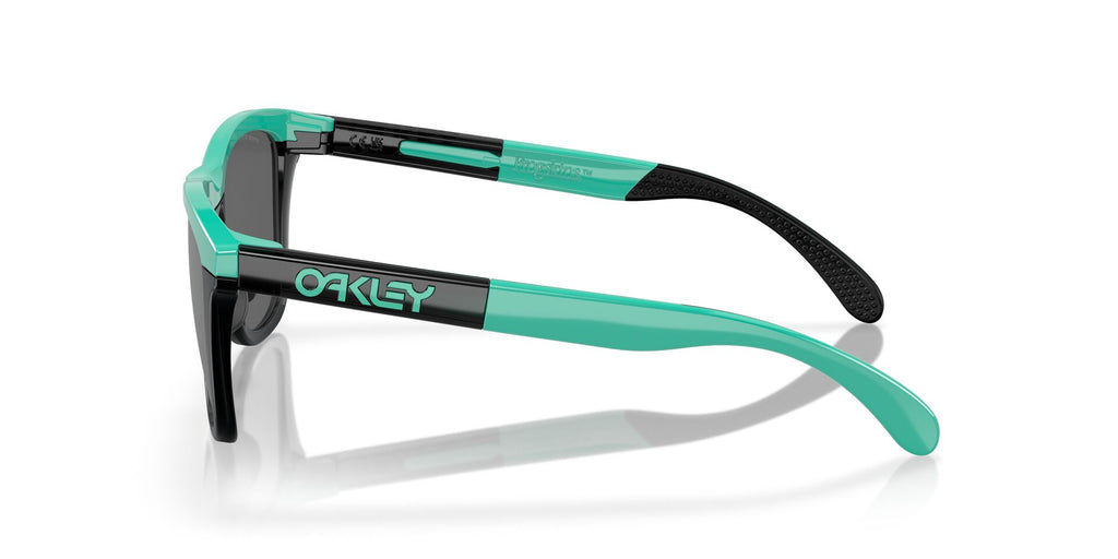Oakley Frogskins Range OO9284