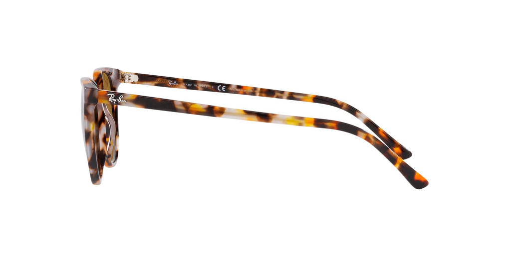 Ray-Ban Elliot RB2197