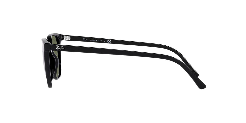 Ray-Ban Elliot RB2197