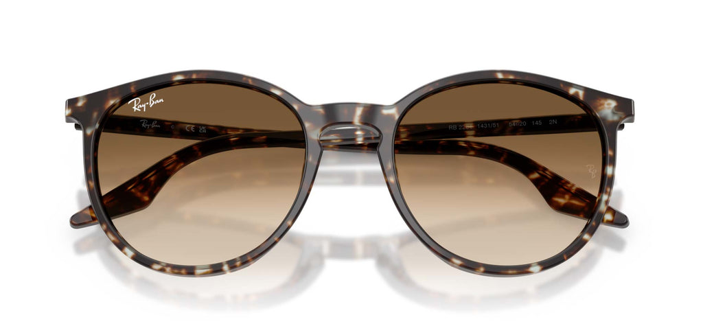 Ray-Ban RB2204