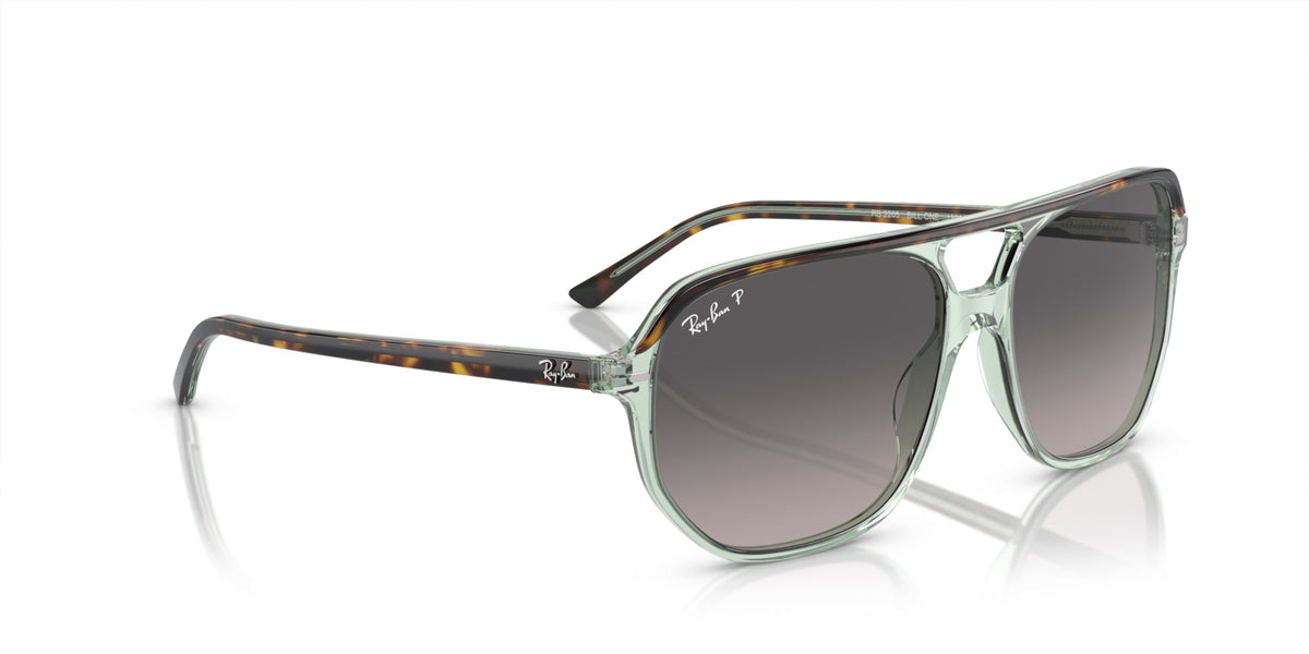 Ray-Ban Bill One RB2205