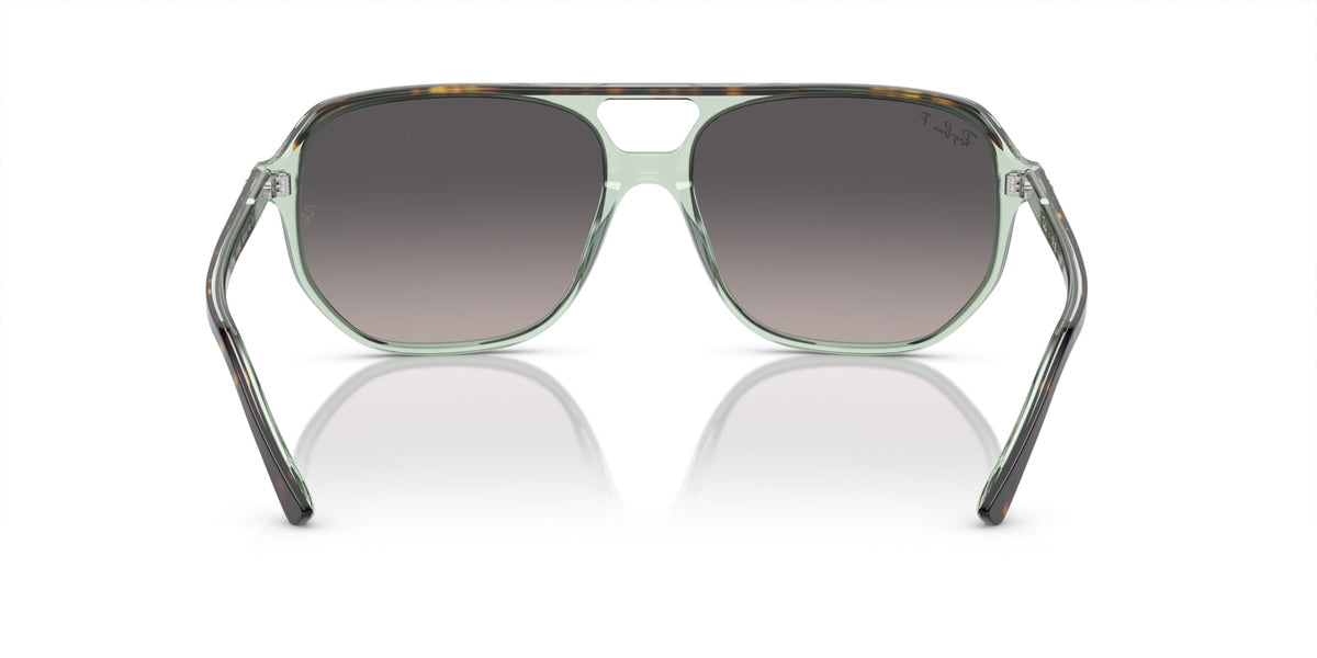Ray-Ban Bill One RB2205