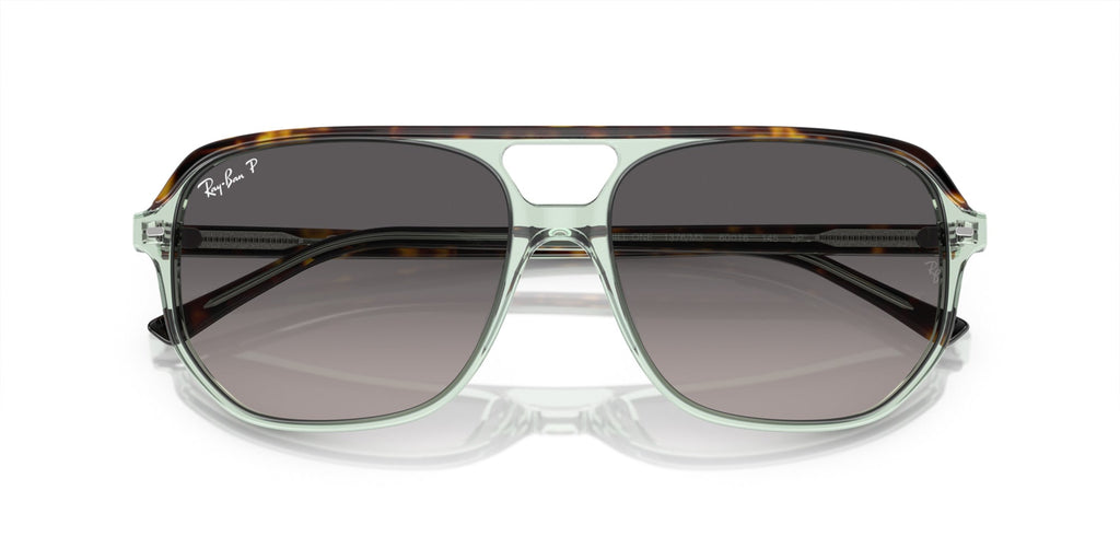 Ray-Ban Bill One RB2205