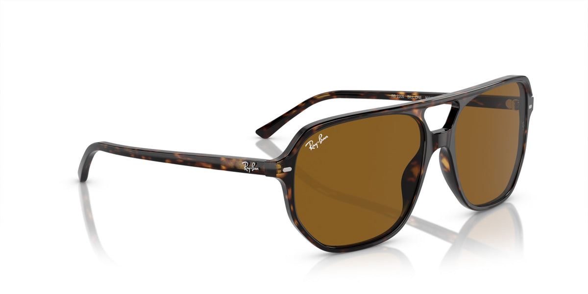 Ray-Ban Bill One RB2205