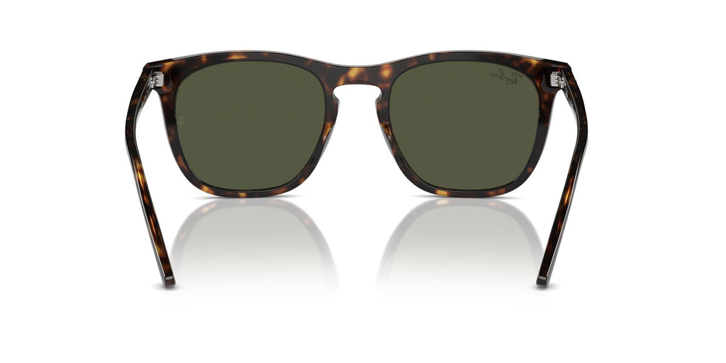Ray-Ban RB2210