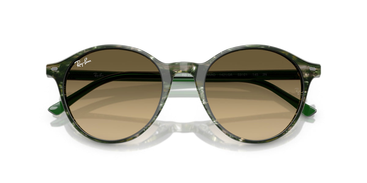 Ray-Ban Bernard RB2230