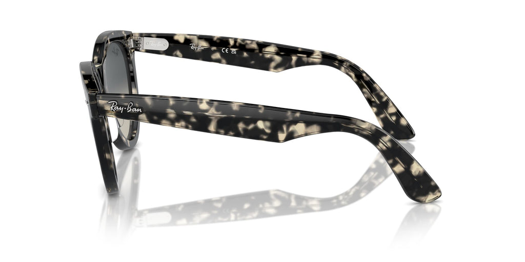 Ray-Ban Wayfarer Way RB2241