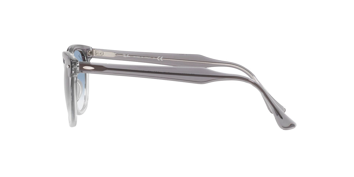 Ray-Ban Hawkeye RB2298