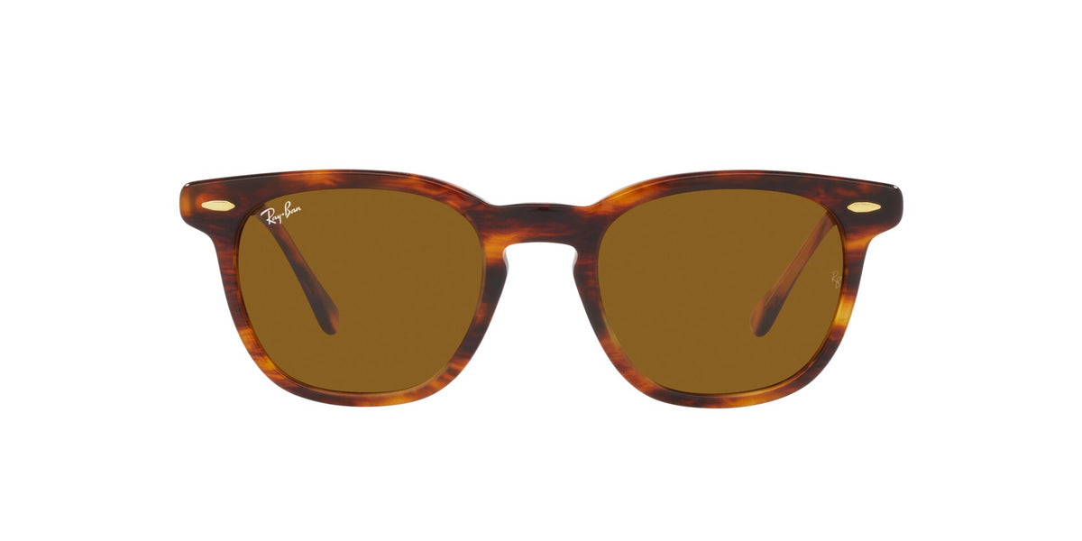 Ray-Ban Hawkeye RB2298
