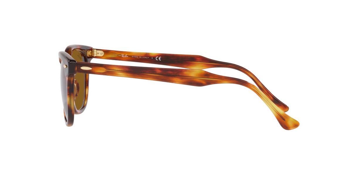 Ray-Ban Hawkeye RB2298
