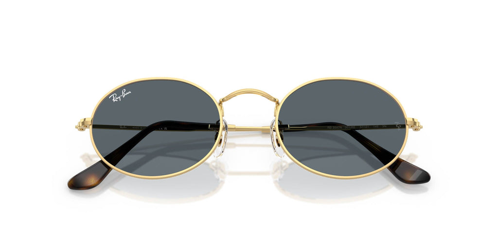 Ray-Ban Oval RB3547N