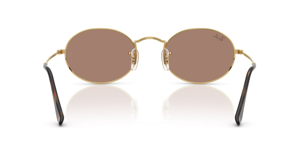Ray-Ban RB3547