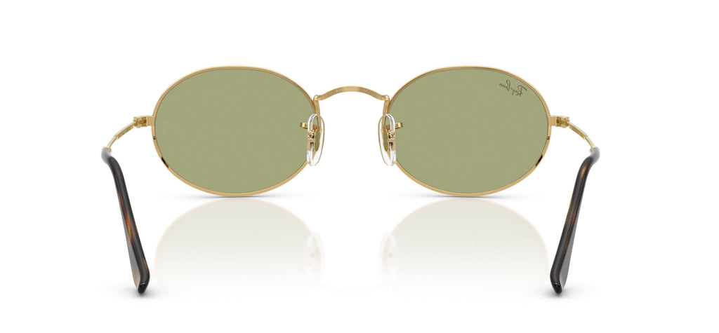 Ray-Ban RB3547