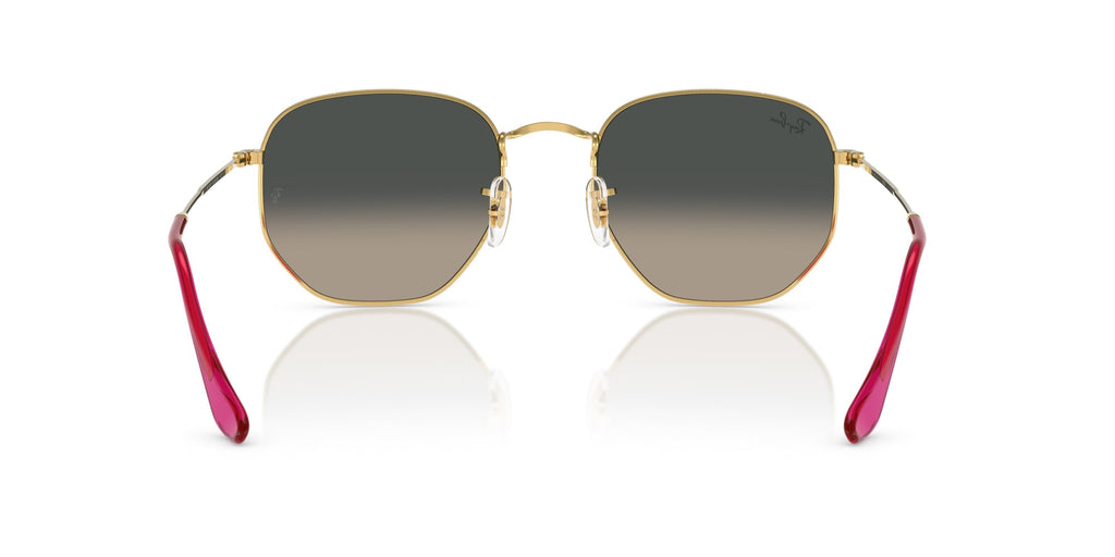 Ray-Ban Hexagonal RB3548N