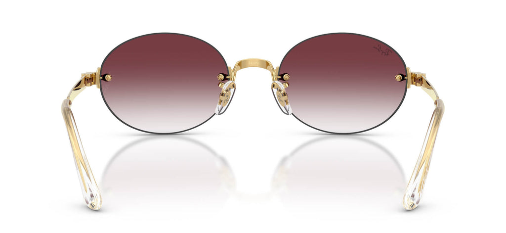Ray-Ban RB3929