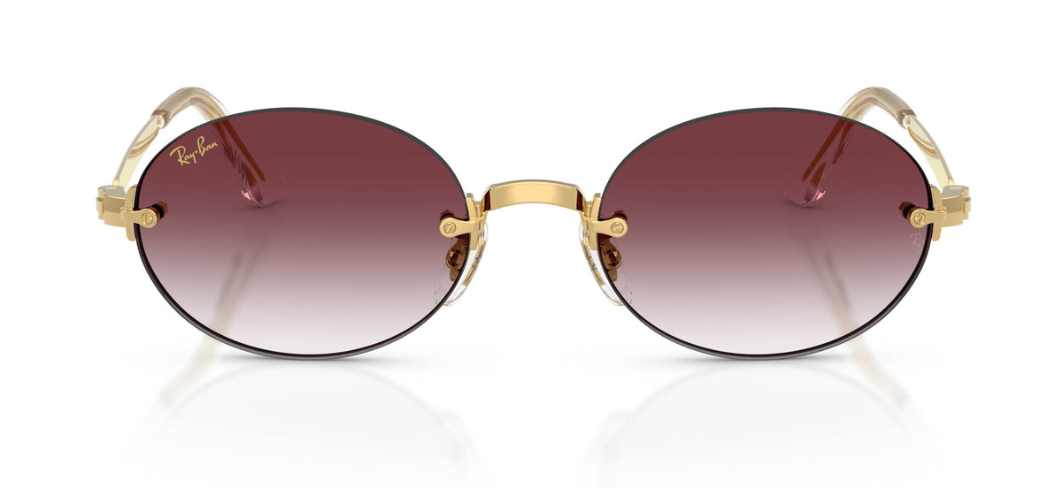 Ray-Ban RB3929