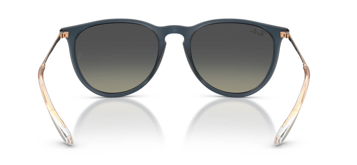 Ray-Ban Erika RB4171