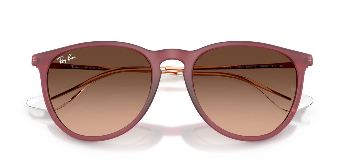 Ray-Ban Erika RB4171