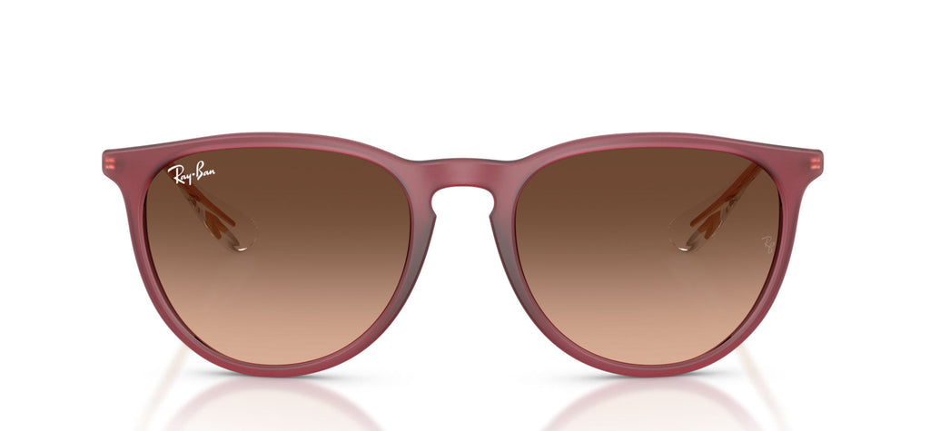 Ray-Ban Erika RB4171