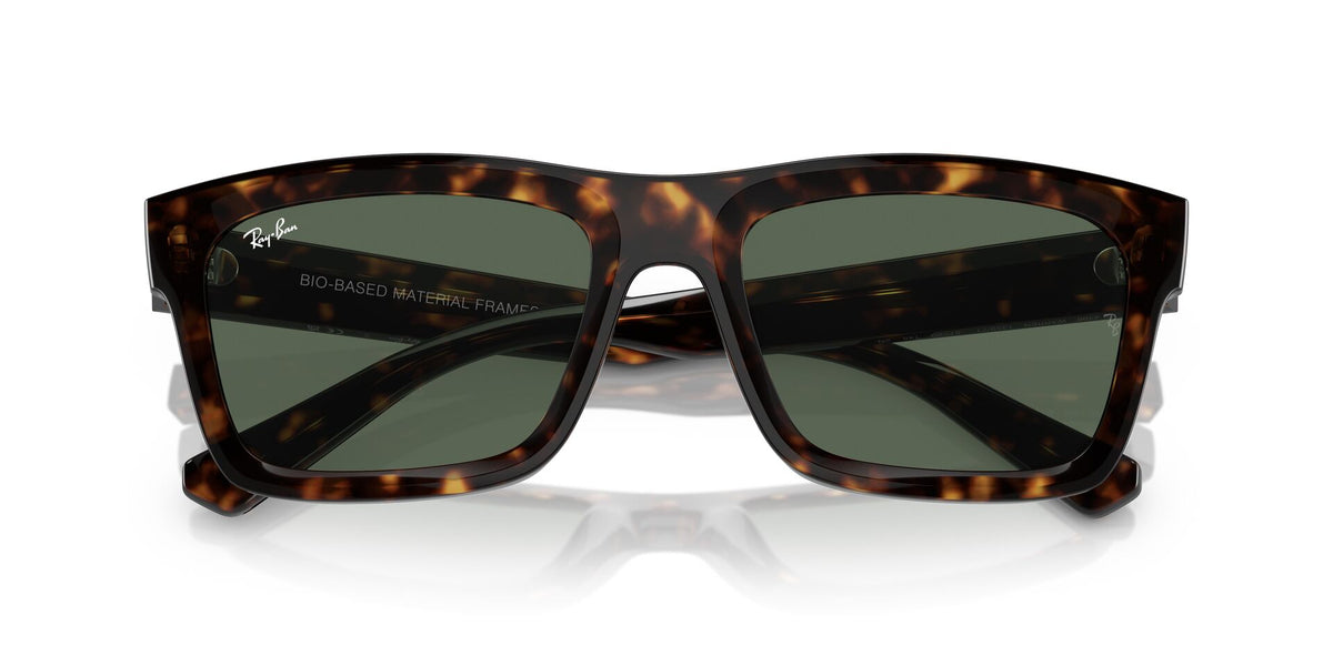 Ray-Ban Warren RB4396