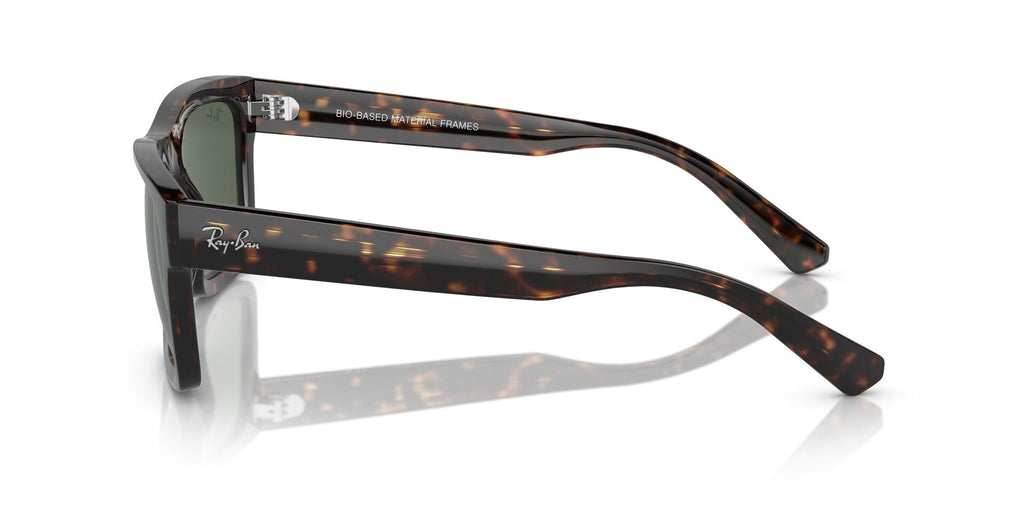 Ray-Ban Warren RB4396