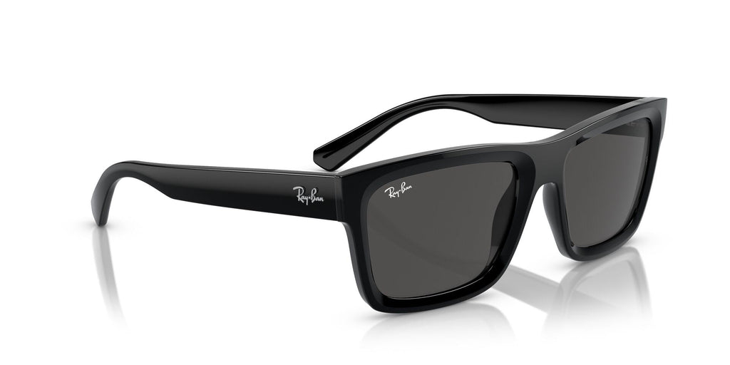 Ray-Ban Warren RB4396