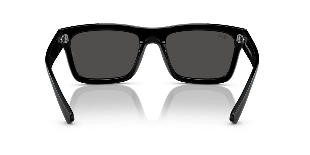 Ray-Ban Warren RB4396