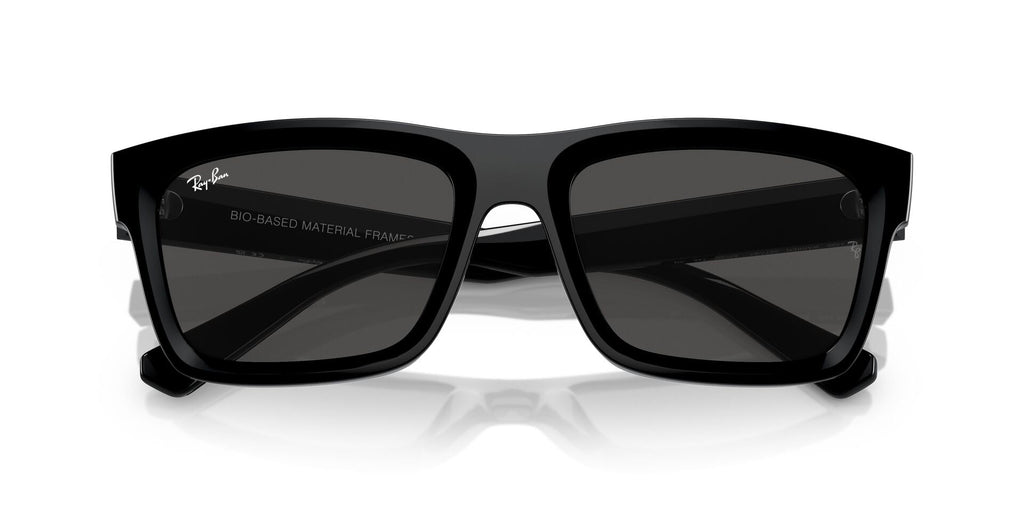 Ray-Ban Warren RB4396