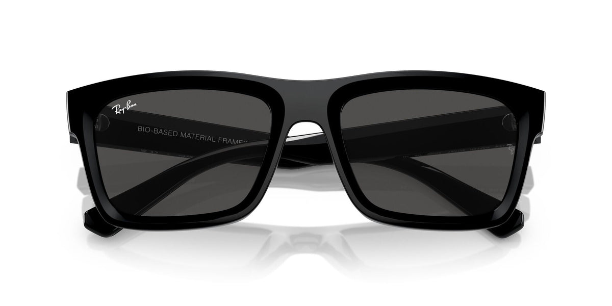 Ray-Ban Warren RB4396