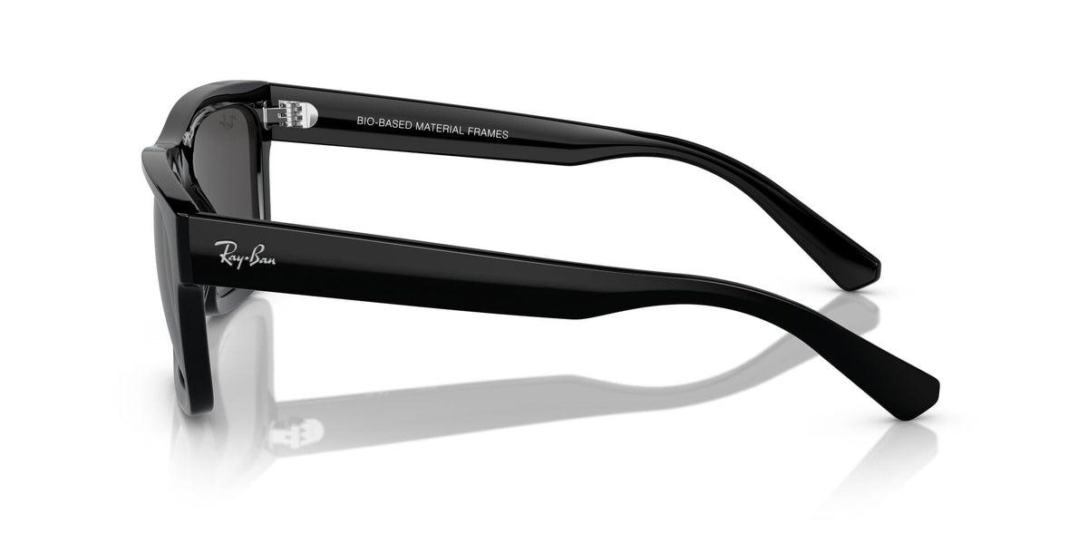 Ray-Ban Warren RB4396