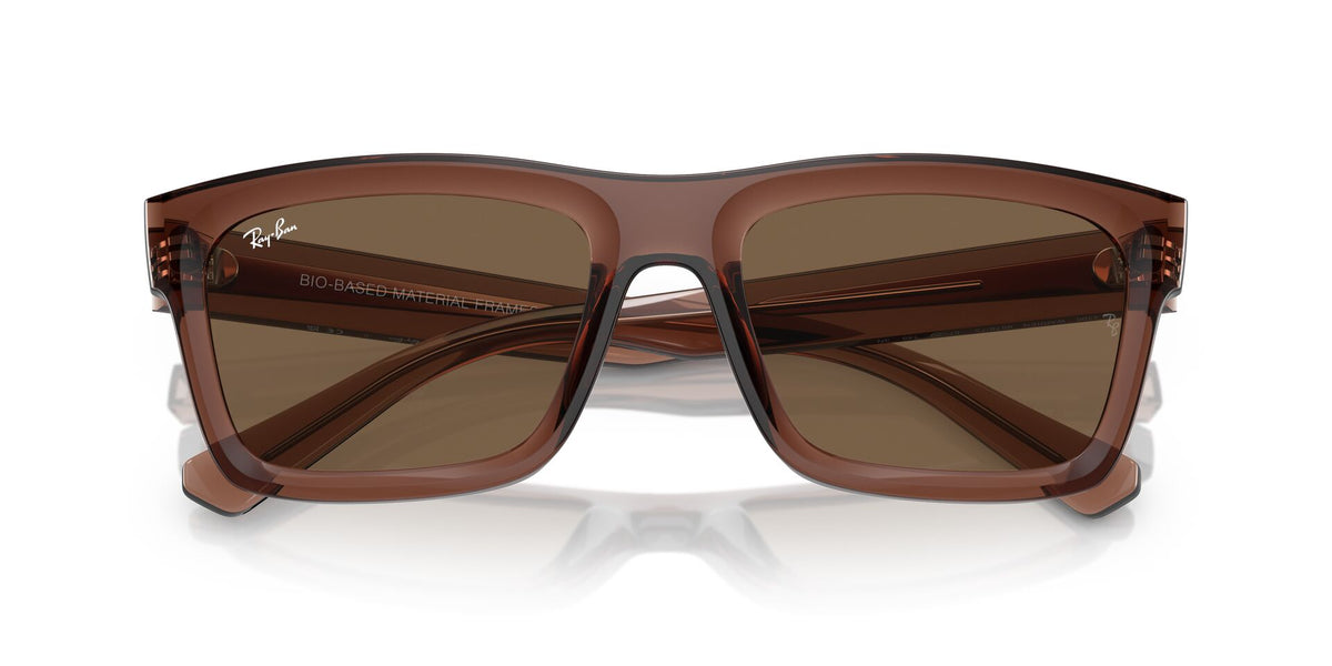 Ray-Ban Warren RB4396