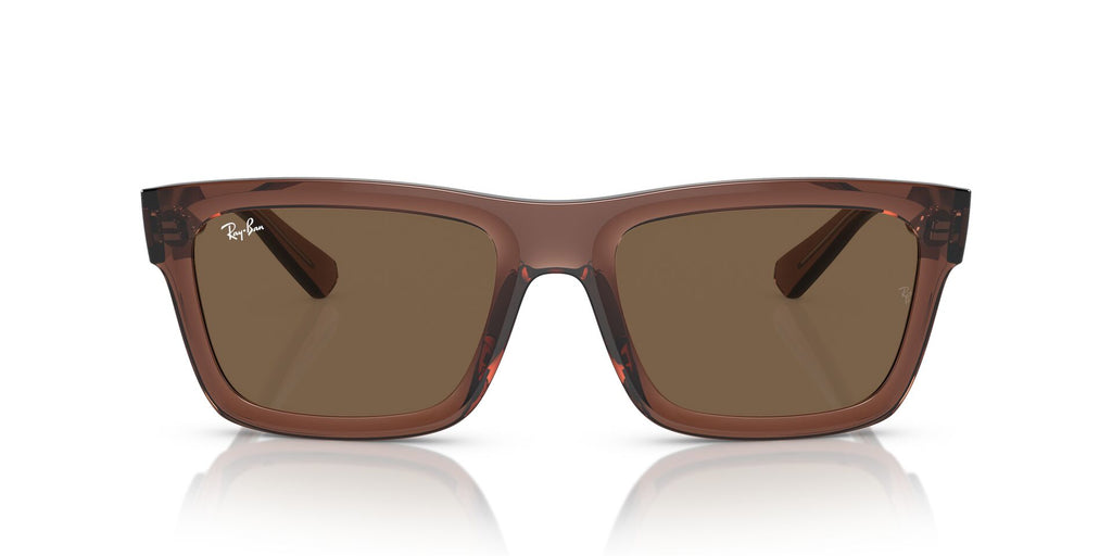 Ray-Ban Warren RB4396