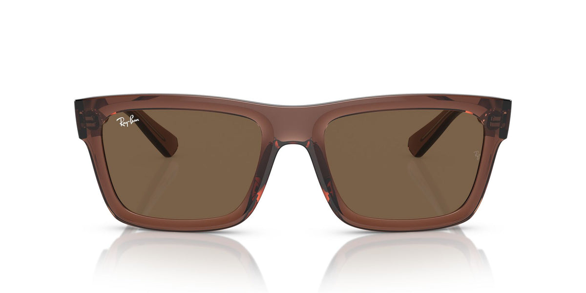 Ray-Ban Warren RB4396