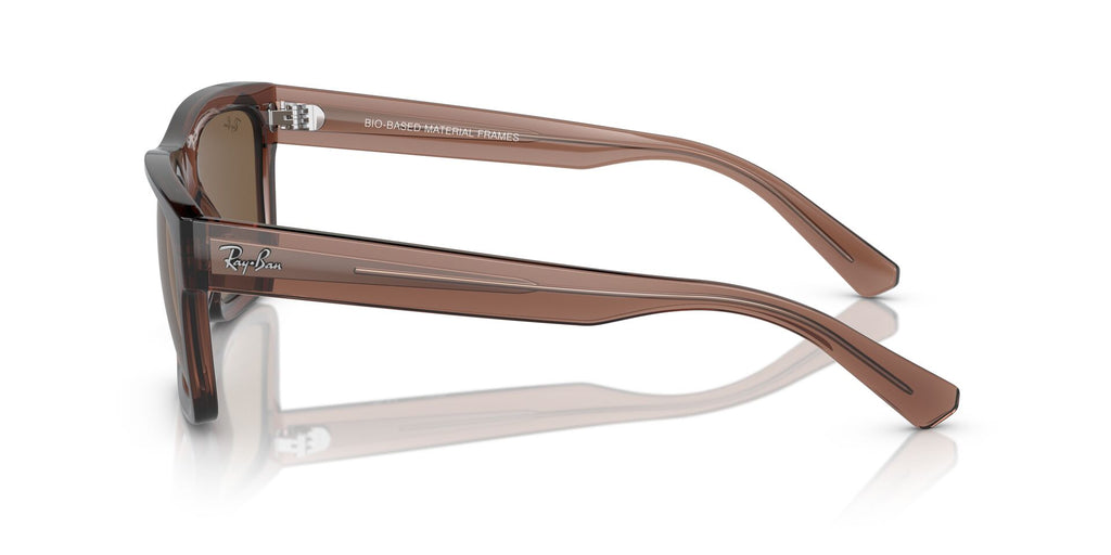 Ray-Ban Warren RB4396