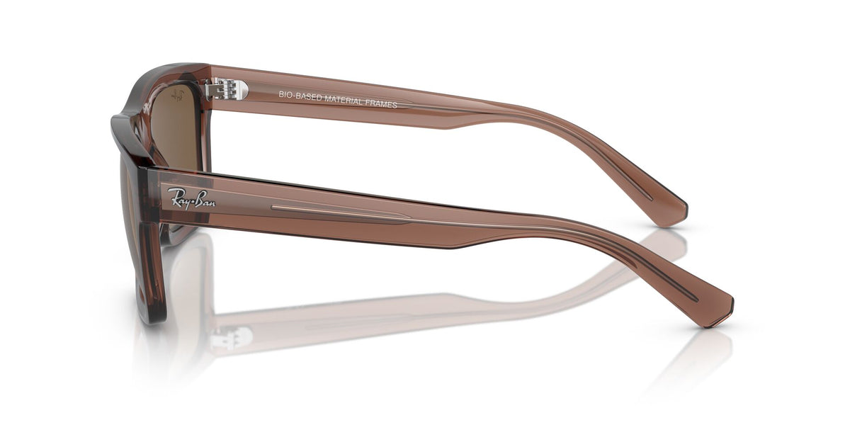 Ray-Ban Warren RB4396