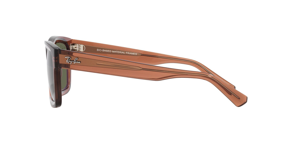 Ray-Ban Warren RB4396