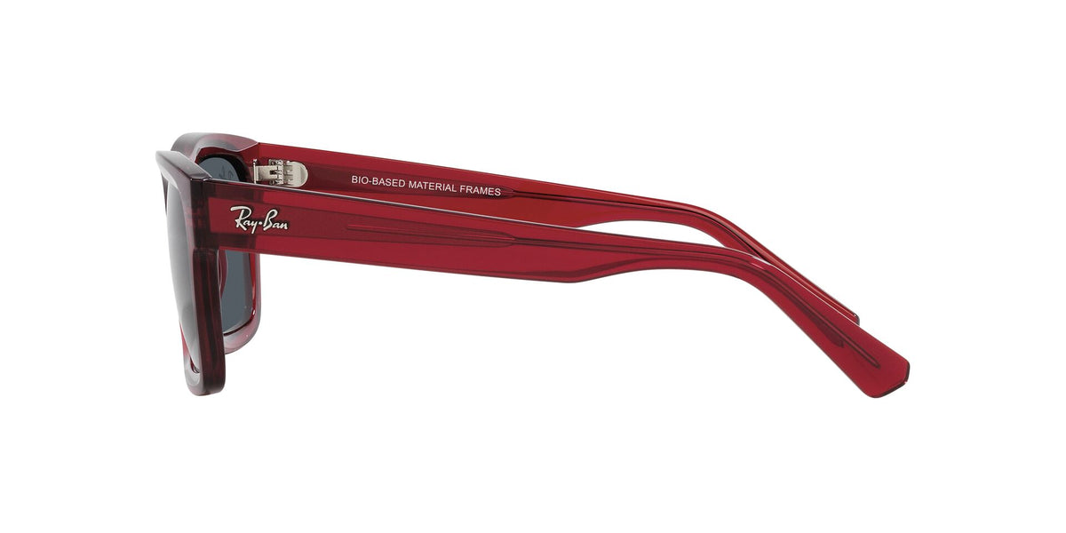 Ray-Ban Warren RB4396
