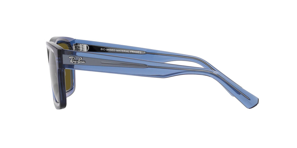 Ray-Ban Warren RB4396