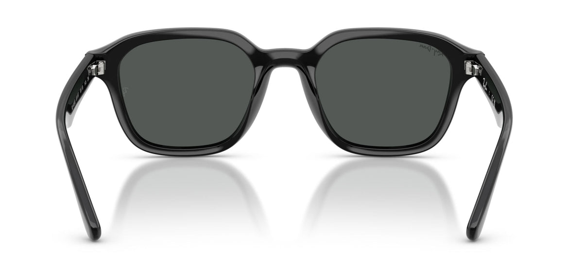 Ray-Ban RB4458D