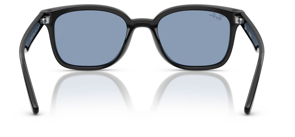 Ray-Ban RB4461D