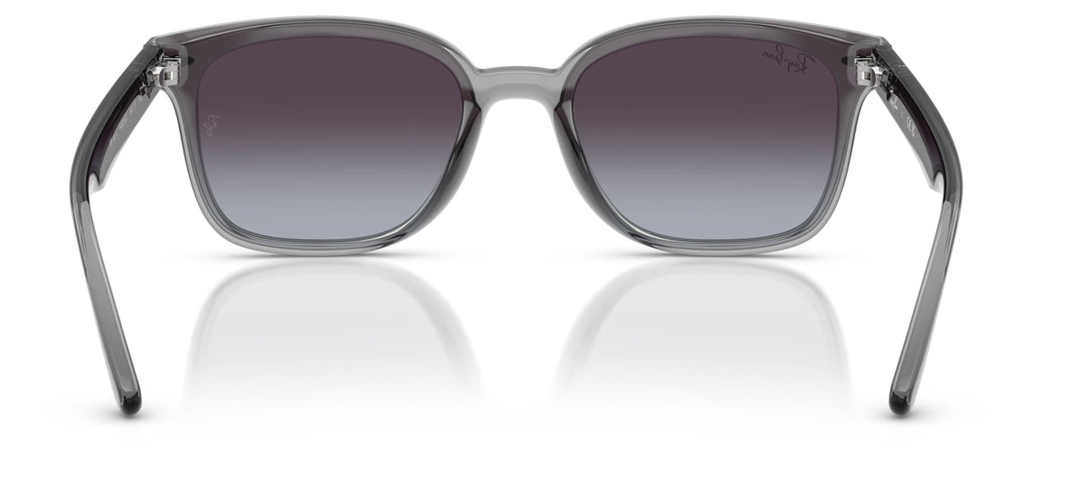Ray-Ban RB4461D