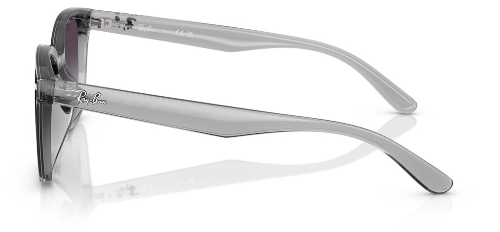 Ray-Ban RB4461D