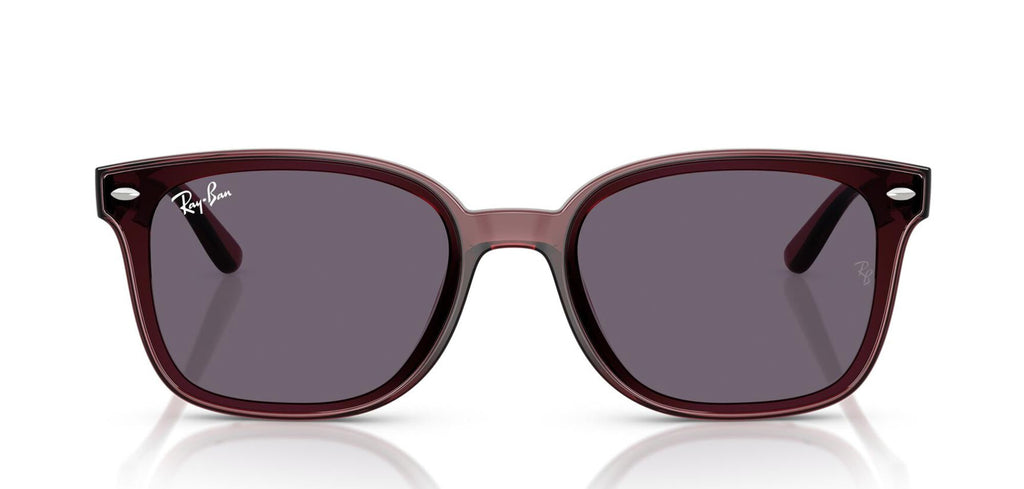 Ray-Ban RB4461D