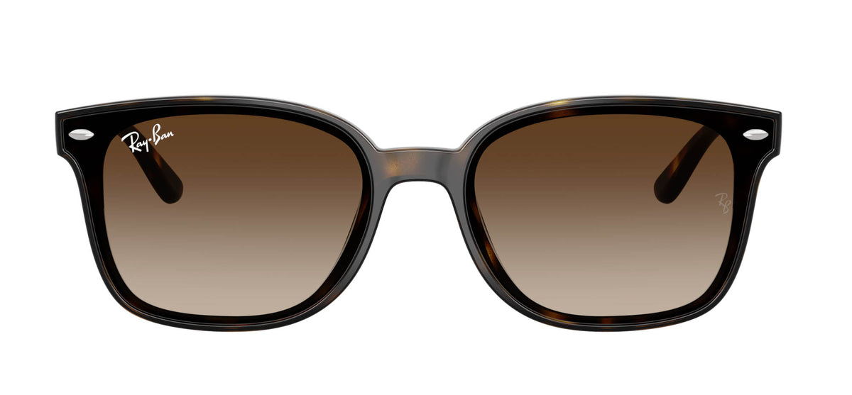 Ray-Ban RB4461D