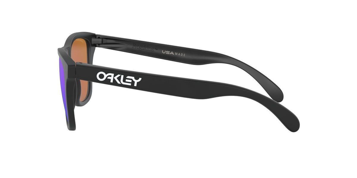 Oakley Frogskins OO9013