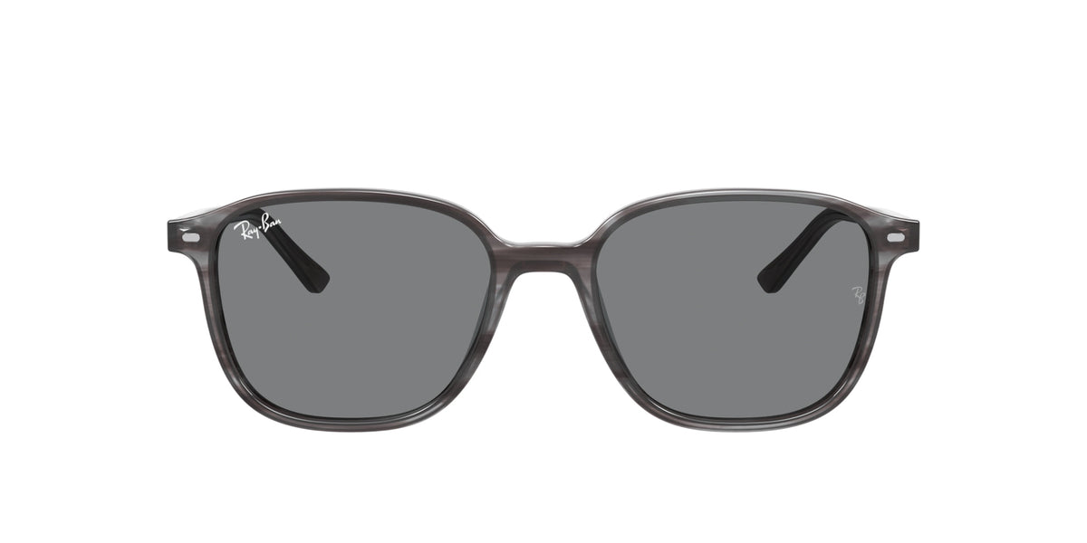 Ray-Ban Leonard RB2193