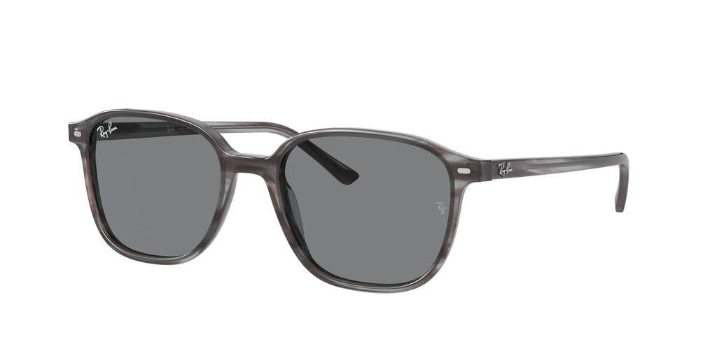 Ray-Ban Leonard RB2193