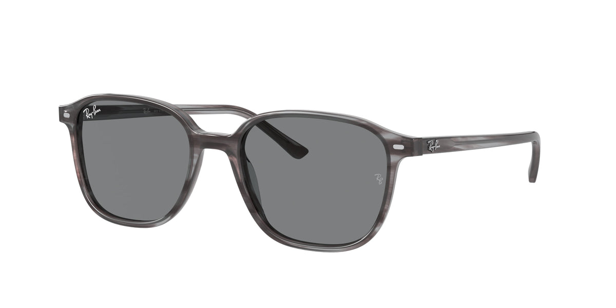 Ray-Ban Leonard RB2193