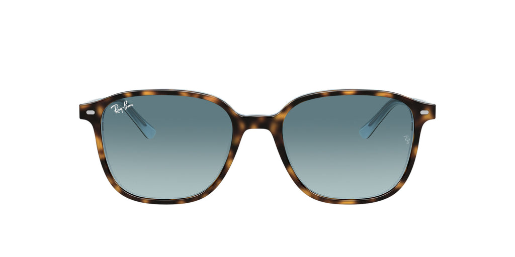 Ray-Ban Leonard RB2193